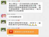 上海成弘旺网络科技有限公司