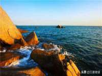 上海成弘旺网络科技有限公司