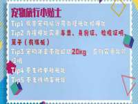 上海成弘旺网络科技有限公司