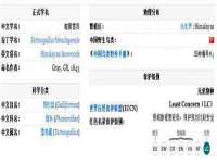 上海成弘旺网络科技有限公司