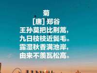 上海成弘旺网络科技有限公司