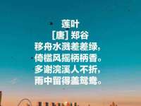 上海成弘旺网络科技有限公司