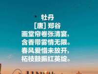 上海成弘旺网络科技有限公司
