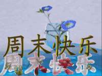 上海成弘旺网络科技有限公司
