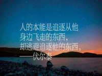上海成弘旺网络科技有限公司