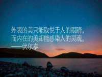 上海成弘旺网络科技有限公司
