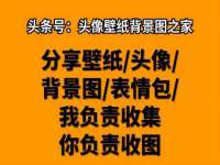 上海成弘旺网络科技有限公司