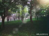 上海成弘旺网络科技有限公司