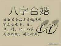 上海成弘旺网络科技有限公司