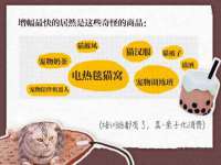 上海成弘旺网络科技有限公司