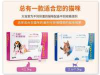 上海成弘旺网络科技有限公司