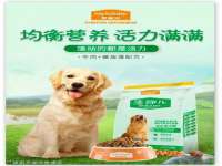 上海成弘旺网络科技有限公司