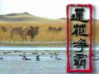 上海成弘旺网络科技有限公司
