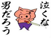 上海成弘旺网络科技有限公司