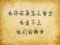 上海成弘旺网络科技有限公司
