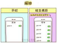 上海成弘旺网络科技有限公司