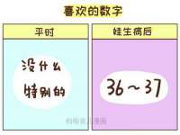 上海成弘旺网络科技有限公司