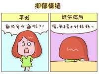 上海成弘旺网络科技有限公司