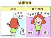 上海成弘旺网络科技有限公司
