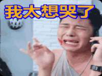 上海成弘旺网络科技有限公司
