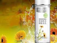 上海成弘旺网络科技有限公司