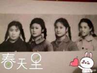 上海成弘旺网络科技有限公司