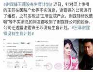 上海成弘旺网络科技有限公司