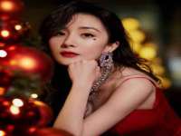 上海成弘旺网络科技有限公司