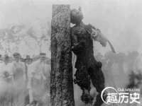 上海成弘旺网络科技有限公司