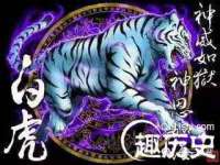上海成弘旺网络科技有限公司