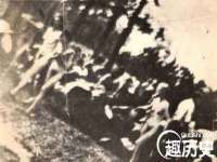 上海成弘旺网络科技有限公司