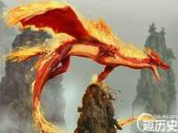 上海成弘旺网络科技有限公司