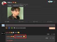 上海成弘旺网络科技有限公司