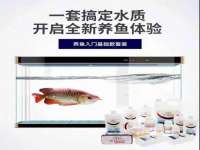 上海成弘旺网络科技有限公司