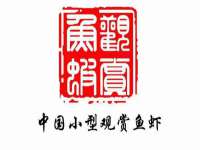 上海成弘旺网络科技有限公司