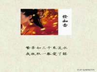 上海成弘旺网络科技有限公司