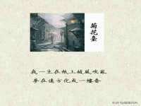 上海成弘旺网络科技有限公司