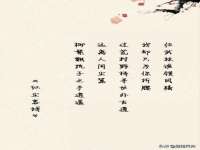 上海成弘旺网络科技有限公司