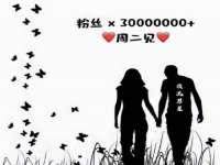 上海成弘旺网络科技有限公司