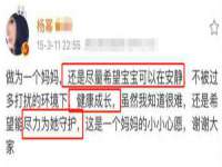 上海成弘旺网络科技有限公司