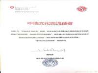 上海成弘旺网络科技有限公司