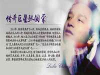 上海成弘旺网络科技有限公司