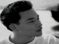 上海成弘旺网络科技有限公司