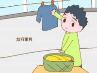 上海成弘旺网络科技有限公司