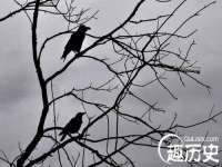 上海成弘旺网络科技有限公司