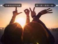 上海成弘旺网络科技有限公司