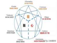 上海成弘旺网络科技有限公司