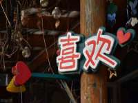 上海成弘旺网络科技有限公司