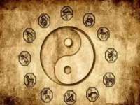 上海成弘旺网络科技有限公司