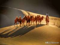 上海成弘旺网络科技有限公司